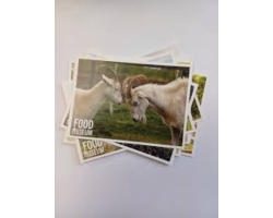 Assorted Food Museum Postcard