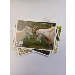 Assorted Food Museum Postcard