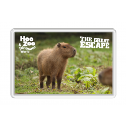 Cinnamon the Capybara Magnet