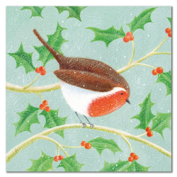Robin & Holly 6 XMas Cards