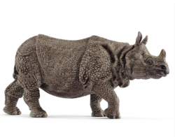 Indian Rhinoceros