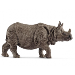 Indian Rhinoceros