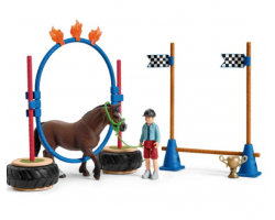 Pony Agility Race