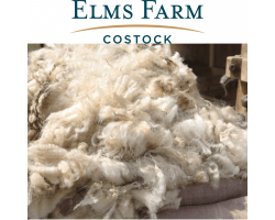 1 Raw Shropshire Sheep Fleece