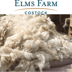 1 Raw Shropshire Sheep Fleece