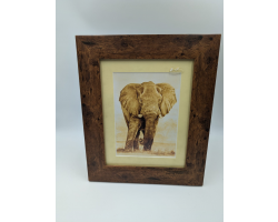 A brush with Africa Elephant (1G) Framed