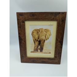 A brush with Africa Elephant (1G) Framed