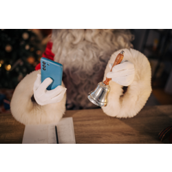 Personalised Video from Father Christmas for one child