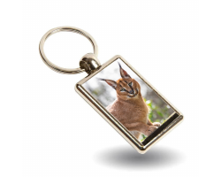 Key Ring - Griffin