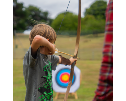 12 Archery Arrows (6th + 8th April ONLY)