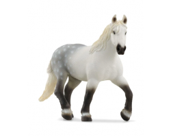 Percheron Mare