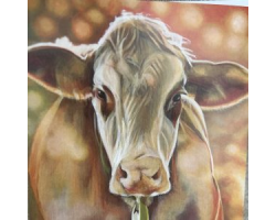Contented Cow Greeting Card
