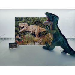 T-REX Adoption Package