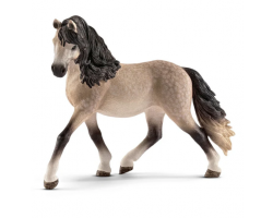 Andalusian Mare