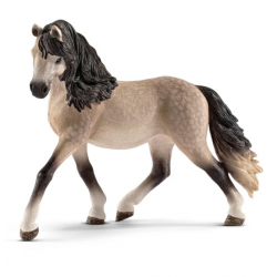 Andalusian Mare