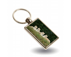 Key Ring - White Lions