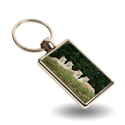 Key Ring - White Lions