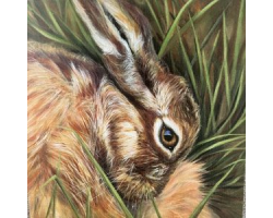Shy Hare Greeting Card