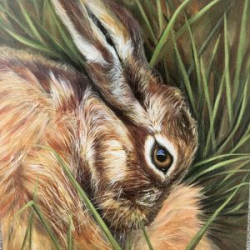Shy Hare Greeting Card