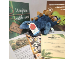 Stegosaurus Adoption Gift Box (inc. delivery)