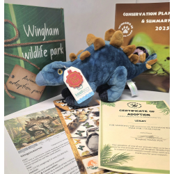 Stegosaurus Adoption Gift Box (inc. delivery)