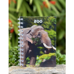 a spiral bound notebook with an image of an elephant  on the front cover.