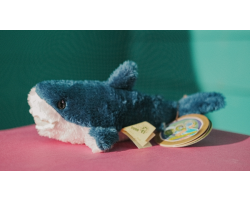 Mini dark blue fluffy shark toy with white underside.