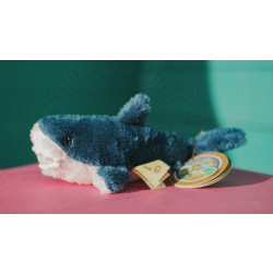 Mini dark blue fluffy shark toy with white underside.