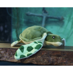 Turtle Soft Toy - Small