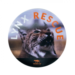 Lynx Rescue- Window Sticker