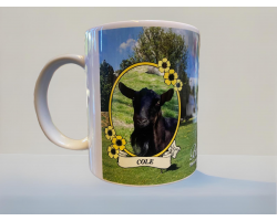 Adopt a Goat Mug- Cole