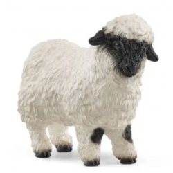 Valais Blacknose Sheep