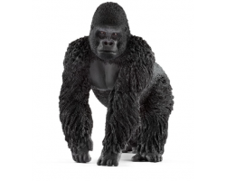 Gorilla Male