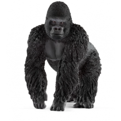 Gorilla Male