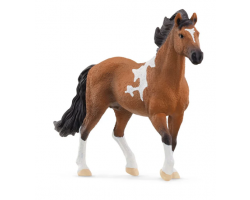 Mangalarga Marchador Stallion