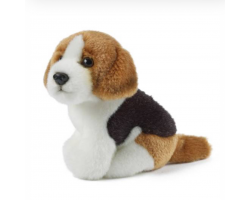 Miniature Beagle