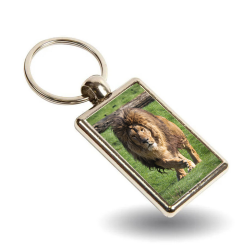Key Ring - Rori