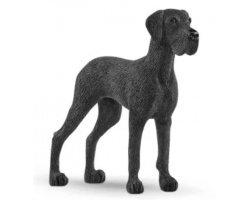 Great Dane