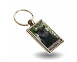 Key Ring - Maya