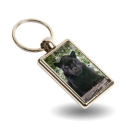Key Ring - Maya