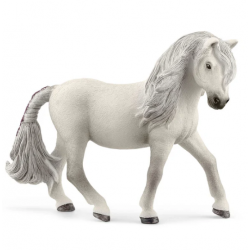 Icelandic Pony Mare