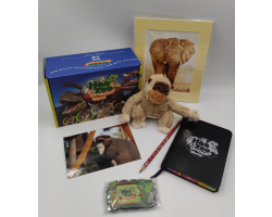 De Brazza Monkey Adoption Package