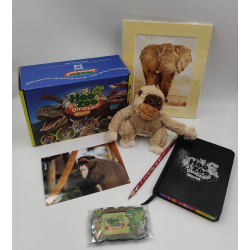 De Brazza Monkey Adoption Package