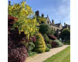 Garden Admission Voucher