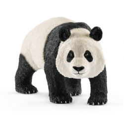 Giant panda