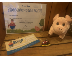 Pig Adoption Pack