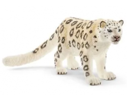 Snow Leopard