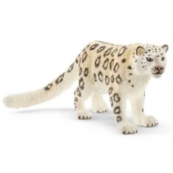 Snow Leopard
