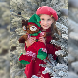 Build A Bear Outfit - Christmas