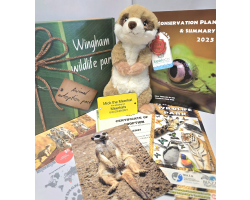 Meerkat Adoption Gift Box (inc. delivery)
